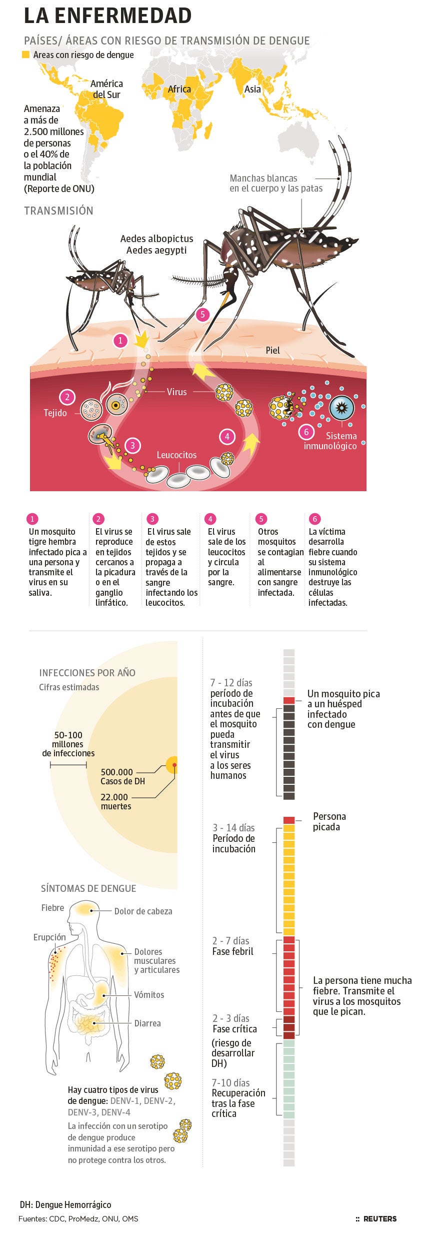 Dengue: transmisión, síntomas y áreas con riesgo