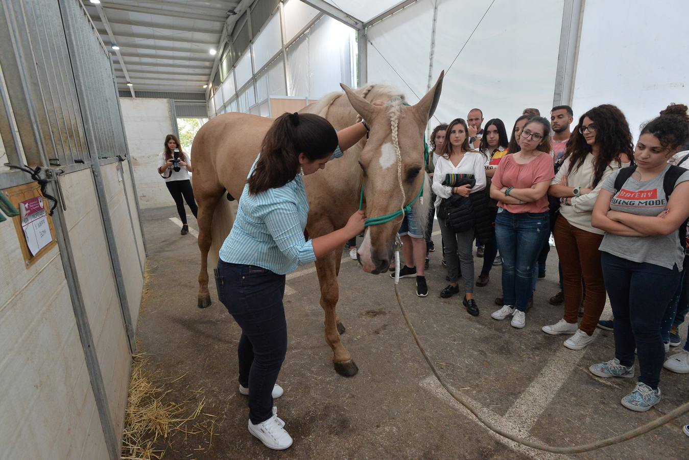 Unas 25.000 personas presenciarán hasta el domingo los concursos de alta escuela en los que participan unos 250 ejemplares