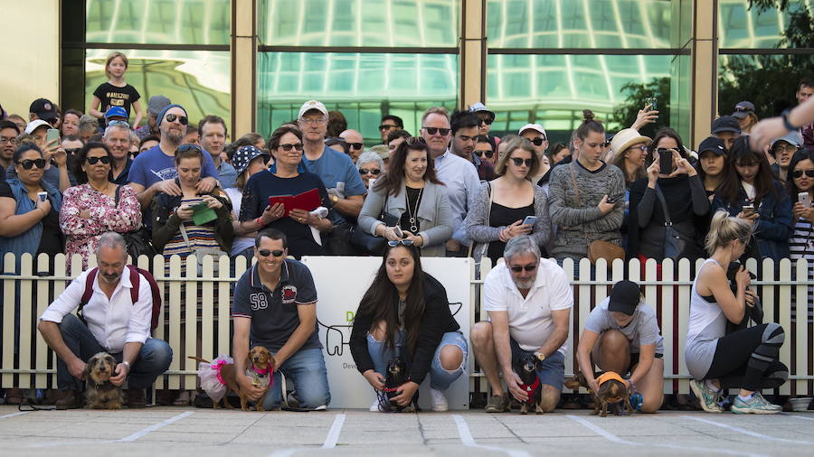 El evento es parte de las celebraciones del Oktoberfest de Melbourne, inspiradas en el tradicional festival bávaro de Alemania.
