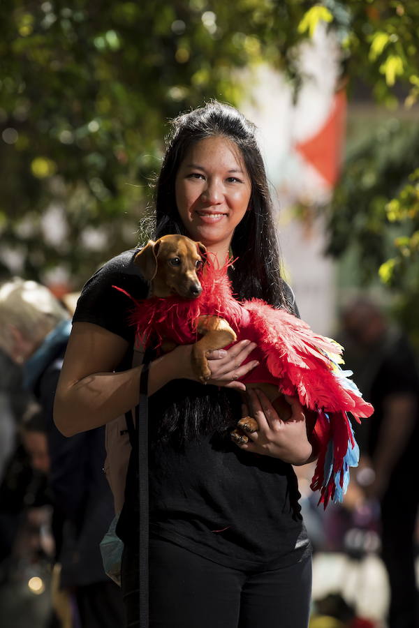 El evento es parte de las celebraciones del Oktoberfest de Melbourne, inspiradas en el tradicional festival bávaro de Alemania.