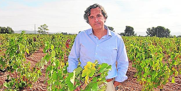 Miguel Ángel Martínez-Aroca, presidente de Anpier y abogado de las DOP de Jumilla y Yecla, en los viñedos de Señorío de Barahonda. 