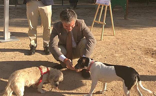 El consejero de Agua, Agricultura, Ganadería y Pesca, Miguel Ángel del Amor, junto a dos perras adoptadas.