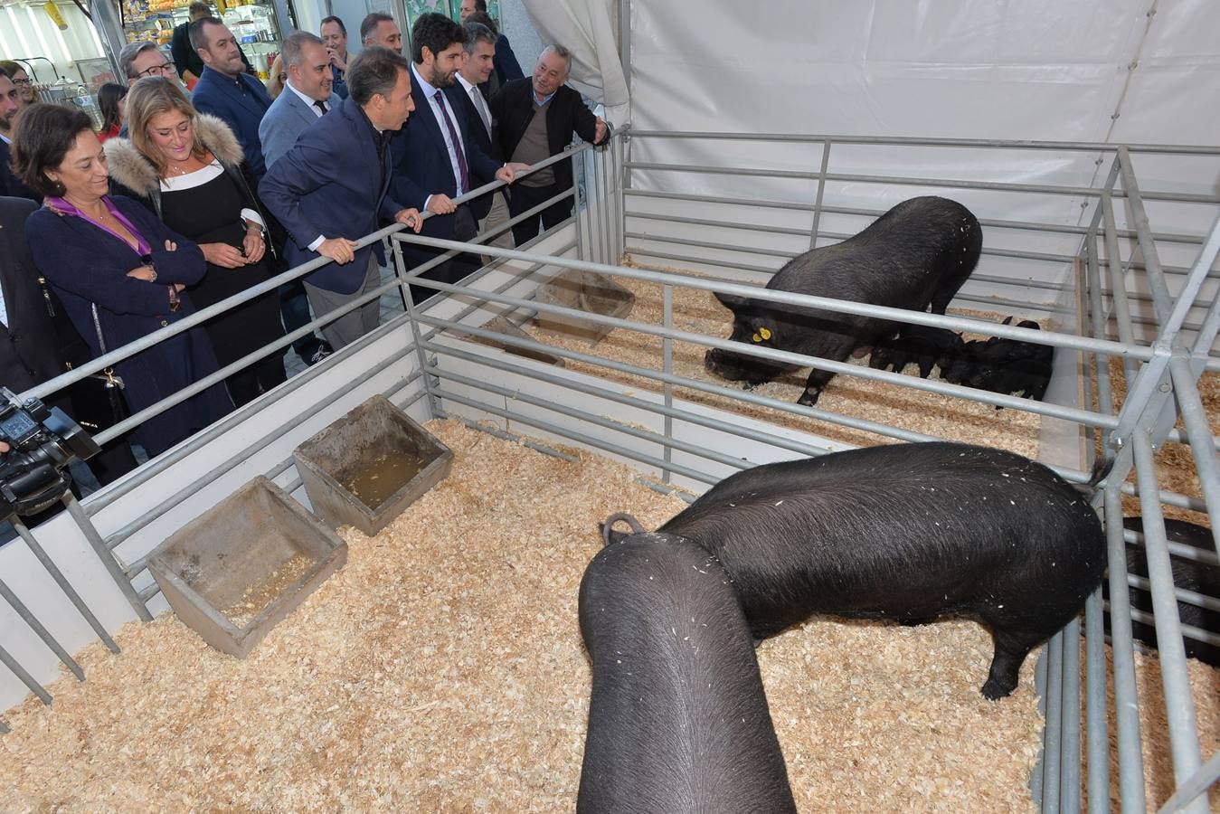 La Feria Ganadera, Industrial y Agroalimentaria de Lorca (Sepor) abre sus puertas en el Centro de Ferias y Congresos. 