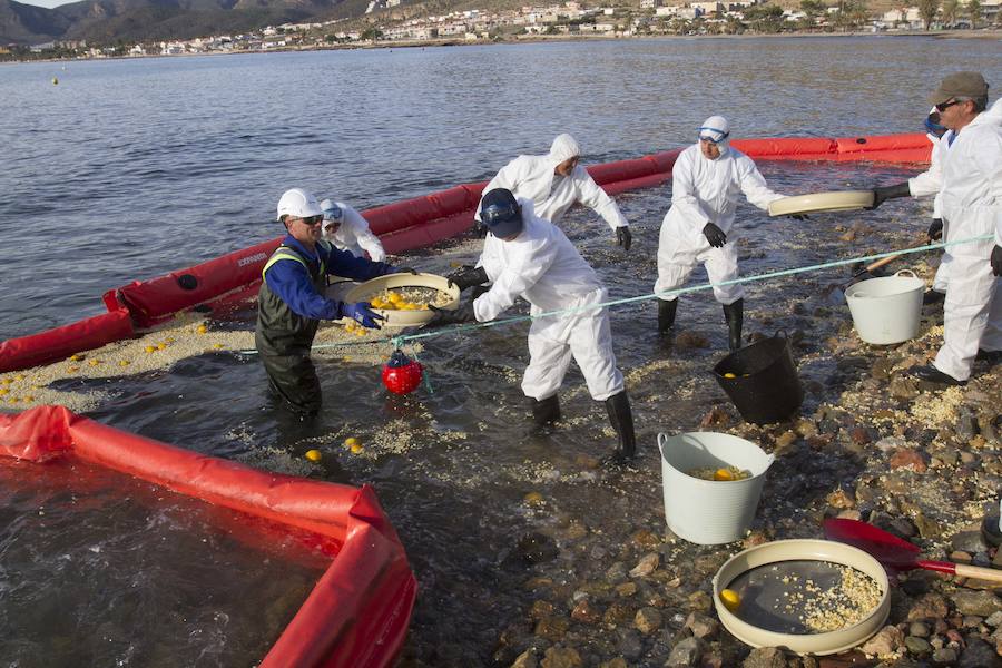 El ejercicio activó seis planes de emergencia de distintos organismos