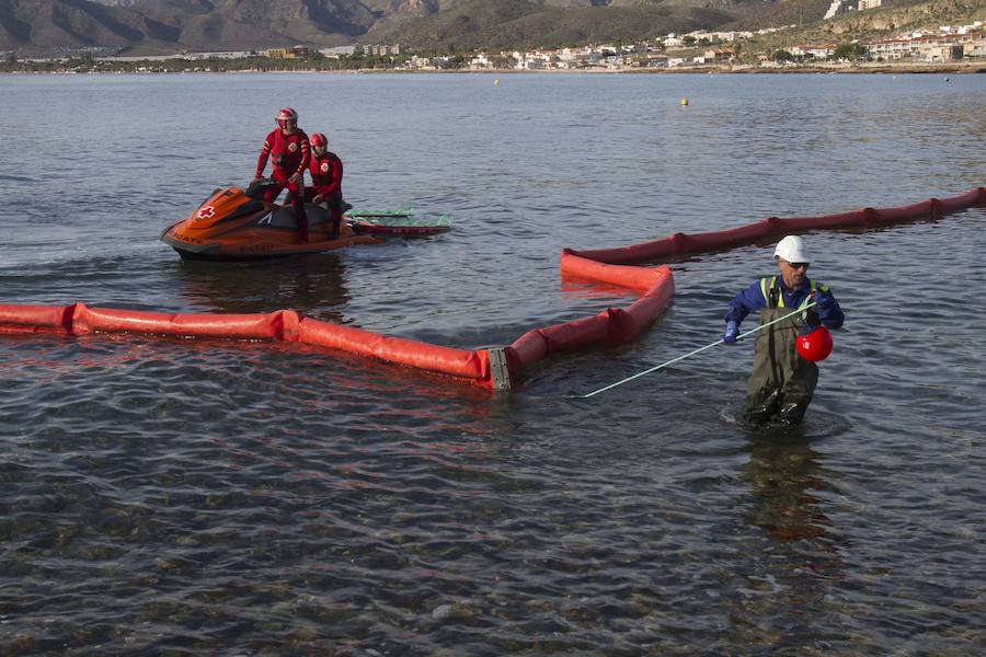 El ejercicio activó seis planes de emergencia de distintos organismos