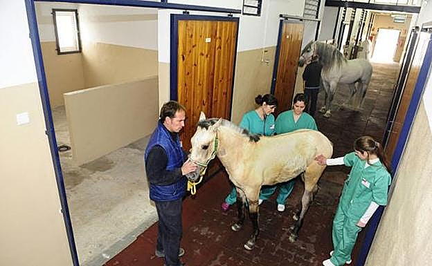 Imagen de archivo de las instalaciones de la Facultad de Veterinaria. 