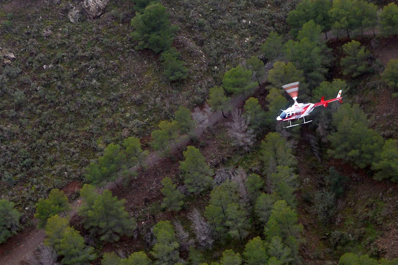 La siembra aérea en la Sierra de Pinilla, en Águilas, busca mitigar los efectos de la sequía y las distintas plagas