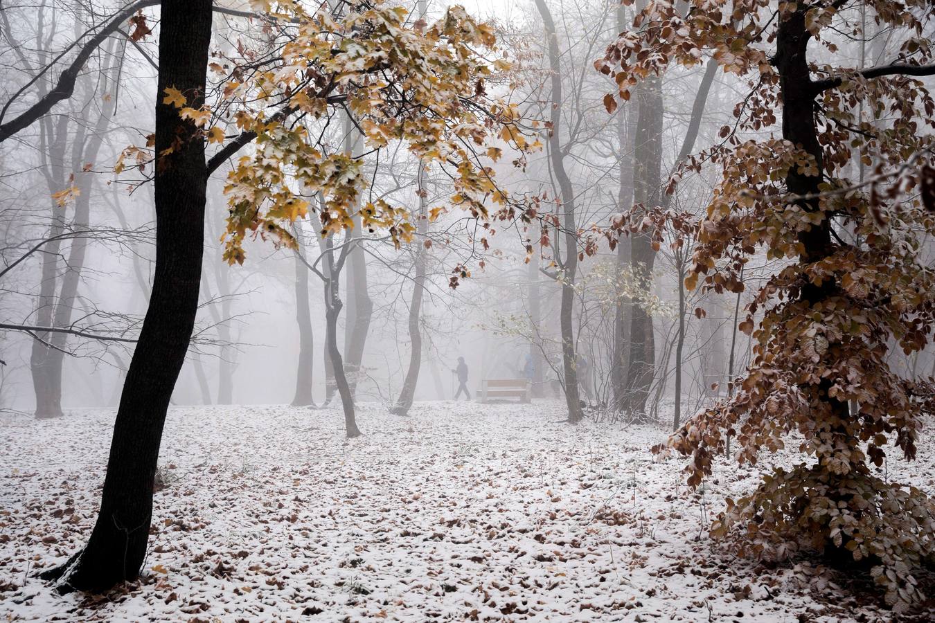 Varias personas pasean sobre la nieve en la colina de Buda en Budapest (Hungría), donde el frío ha llegado para quedarse.