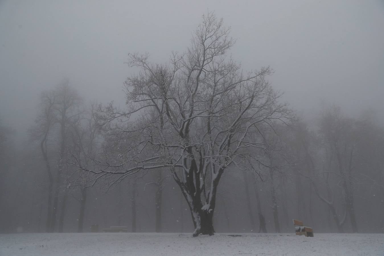 Varias personas pasean sobre la nieve en la colina de Buda en Budapest (Hungría), donde el frío ha llegado para quedarse.