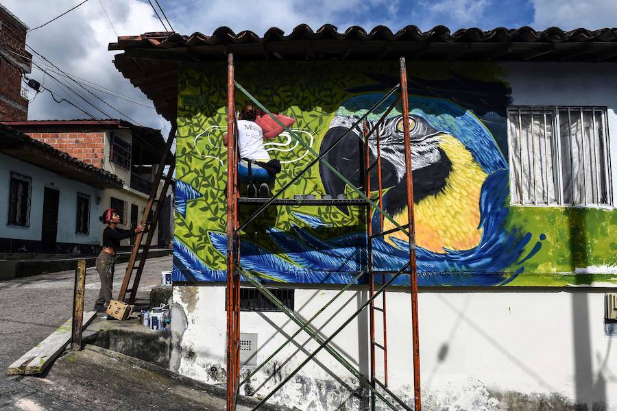 El Primer Festival Internacional de Murales por la Paz en San Carlos, departamento de Antioquia, Colombia. Esta ciudad está ubicada en una región geográfica estratégica donde grupos paramilitares y guerrilleros lucharon por el control del territorio. Según los organizadores del evento, el Festival Mural está dirigido a cambiar la percepción negativa de la ciudad, conocida principalmente por su pasado violento, en un sitio abierto al turismo que ofrece buenas instalaciones de alojamiento, actividades como ecoturismo y ahora agrega un circuito de 56 murales. a recorrer.