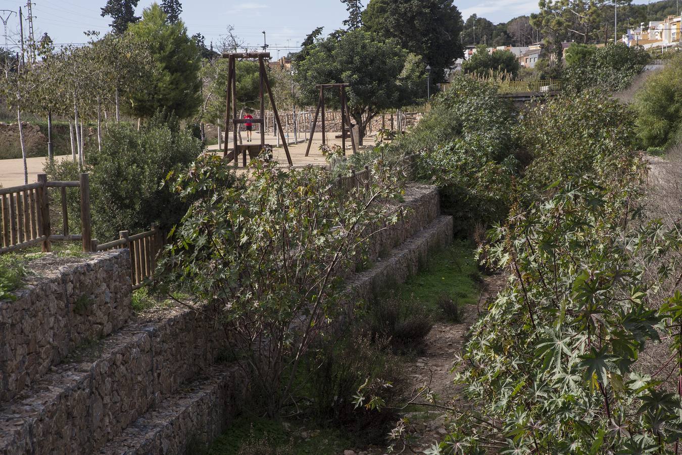 Maleza, troncos, plásticos y material de arrastre atoran tramos urbanos de los cauces, tras las inundaciones de la semana pasada