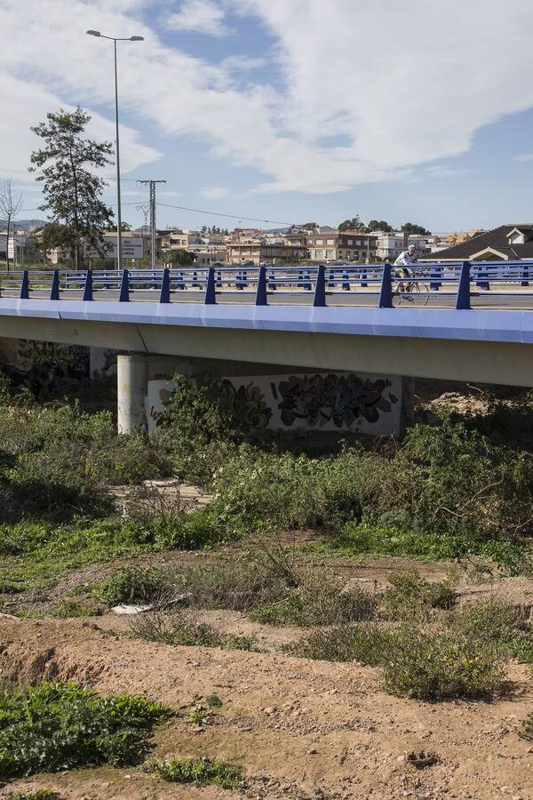 Maleza, troncos, plásticos y material de arrastre atoran tramos urbanos de los cauces, tras las inundaciones de la semana pasada