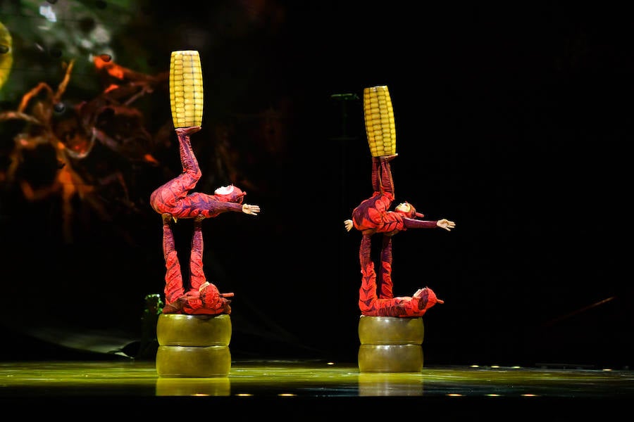 'La Verdad' acompaña a los artistas de la mítica compañía canadiense en una jornada de duro entrenamiento 'Ovo', la nueva apuesta del Circo del Sol, recalará en Murcia del 16 al 20 de enero