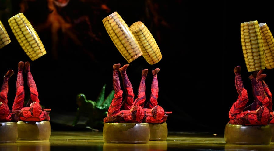 'La Verdad' acompaña a los artistas de la mítica compañía canadiense en una jornada de duro entrenamiento 'Ovo', la nueva apuesta del Circo del Sol, recalará en Murcia del 16 al 20 de enero