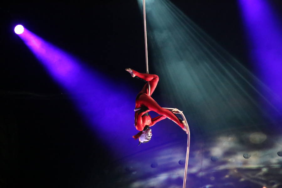 'La Verdad' acompaña a los artistas de la mítica compañía canadiense en una jornada de duro entrenamiento 'Ovo', la nueva apuesta del Circo del Sol, recalará en Murcia del 16 al 20 de enero