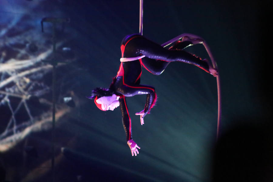 'La Verdad' acompaña a los artistas de la mítica compañía canadiense en una jornada de duro entrenamiento 'Ovo', la nueva apuesta del Circo del Sol, recalará en Murcia del 16 al 20 de enero