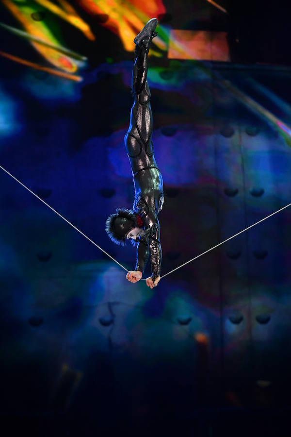 'La Verdad' acompaña a los artistas de la mítica compañía canadiense en una jornada de duro entrenamiento 'Ovo', la nueva apuesta del Circo del Sol, recalará en Murcia del 16 al 20 de enero