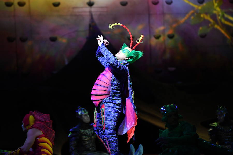 'La Verdad' acompaña a los artistas de la mítica compañía canadiense en una jornada de duro entrenamiento 'Ovo', la nueva apuesta del Circo del Sol, recalará en Murcia del 16 al 20 de enero