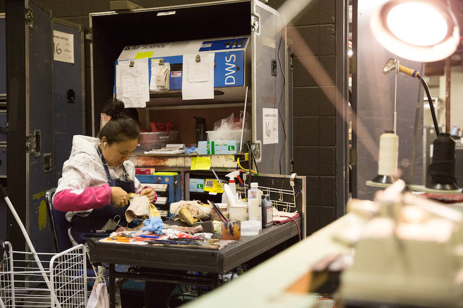 'La Verdad' acompaña a los artistas de la mítica compañía canadiense en una jornada de duro entrenamiento 'Ovo', la nueva apuesta del Circo del Sol, recalará en Murcia del 16 al 20 de enero