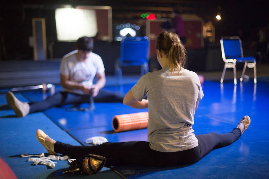 'La Verdad' acompaña a los artistas de la mítica compañía canadiense en una jornada de duro entrenamiento 'Ovo', la nueva apuesta del Circo del Sol, recalará en Murcia del 16 al 20 de enero