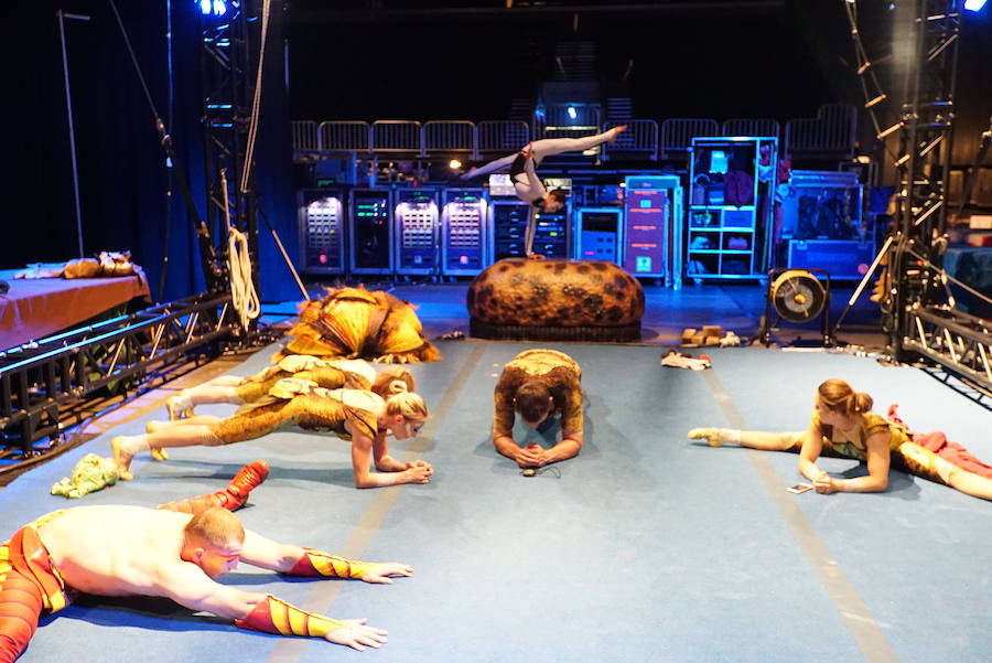 'La Verdad' acompaña a los artistas de la mítica compañía canadiense en una jornada de duro entrenamiento 'Ovo', la nueva apuesta del Circo del Sol, recalará en Murcia del 16 al 20 de enero