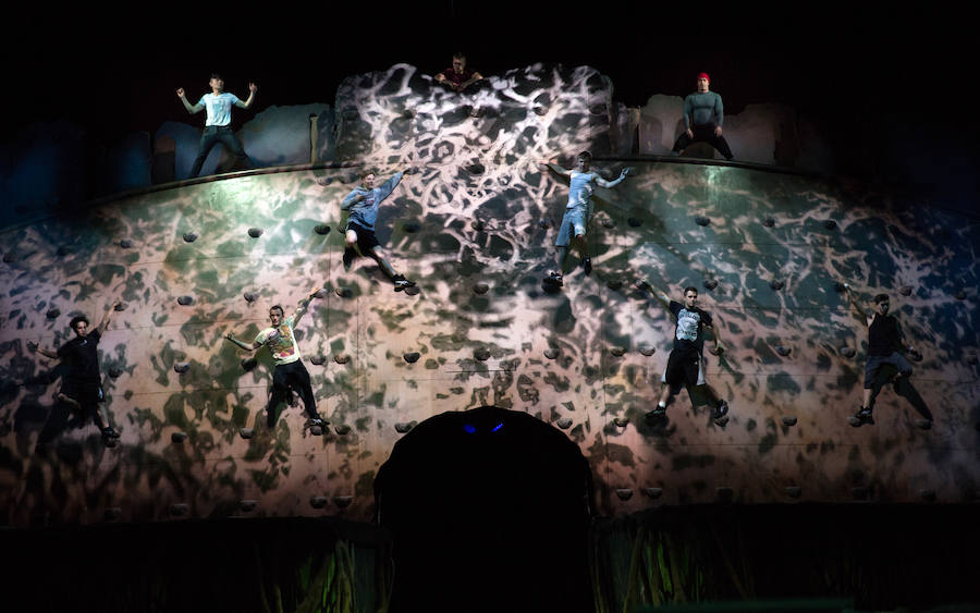 'La Verdad' acompaña a los artistas de la mítica compañía canadiense en una jornada de duro entrenamiento 'Ovo', la nueva apuesta del Circo del Sol, recalará en Murcia del 16 al 20 de enero