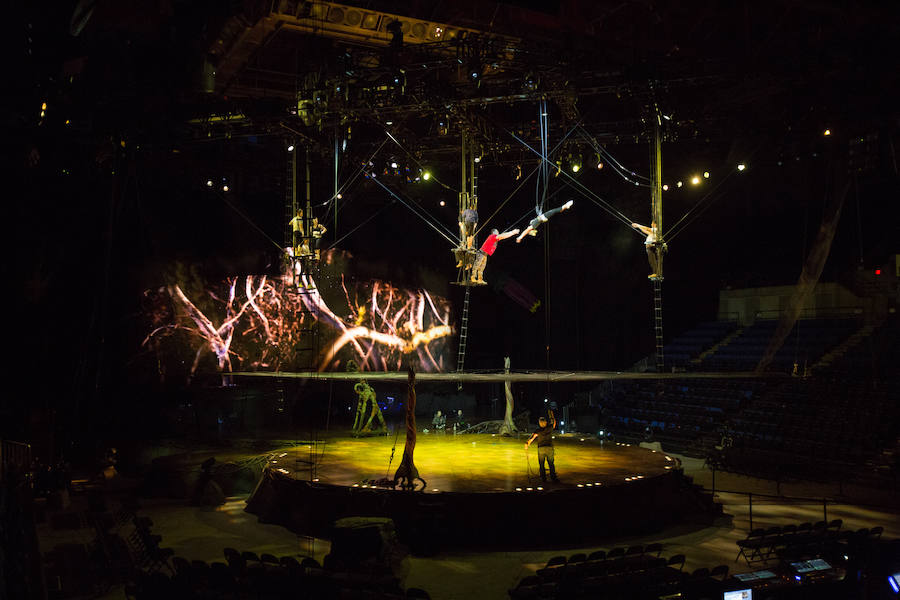 'La Verdad' acompaña a los artistas de la mítica compañía canadiense en una jornada de duro entrenamiento 'Ovo', la nueva apuesta del Circo del Sol, recalará en Murcia del 16 al 20 de enero