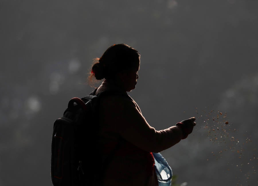 Los fieles hindúes nepalíes encienden lámparas de aceite y siembran siete tipos de semillas alrededor de las instalaciones del templo en nombre de los familiares difuntos.