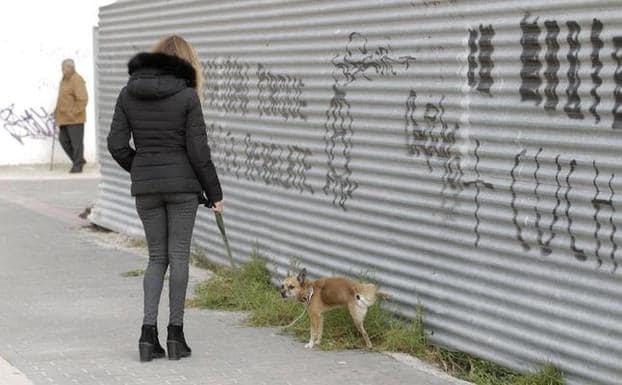 Un perro hace sus necesidades en una calle de Lorca.