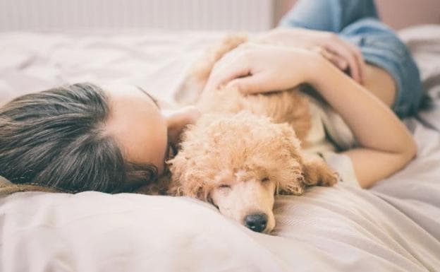 ¿Es bueno dormir con tu perro? Más de lo que te imaginas