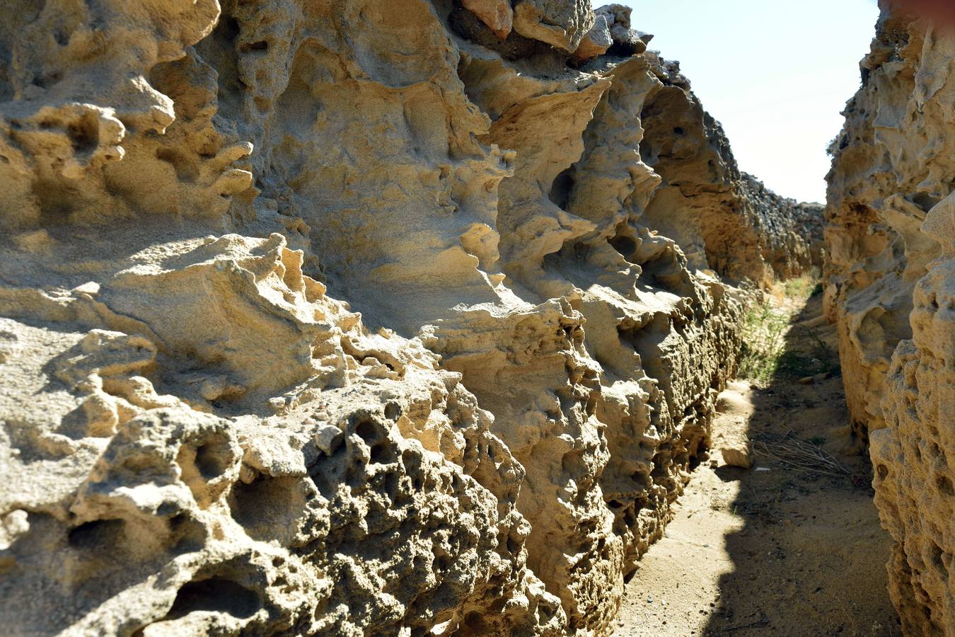 Canal tallado en la duna fósil para llevar agua a las salinas.