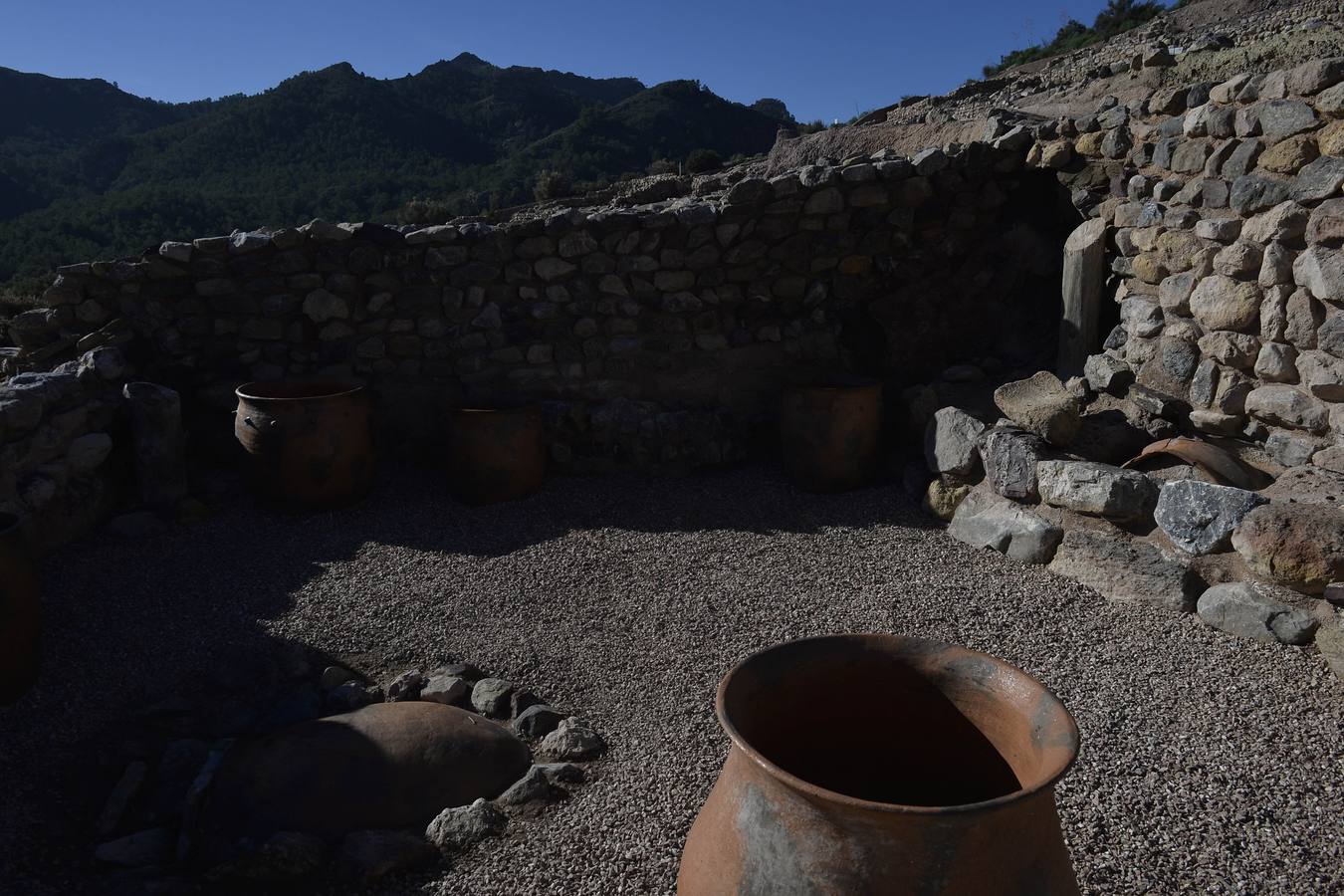 Guirao ha concretado que el objetivo del recorrido es mostrar su apoyo a los científicos que están excavando y analizando «uno de los grandes descubrimientos de esta época»