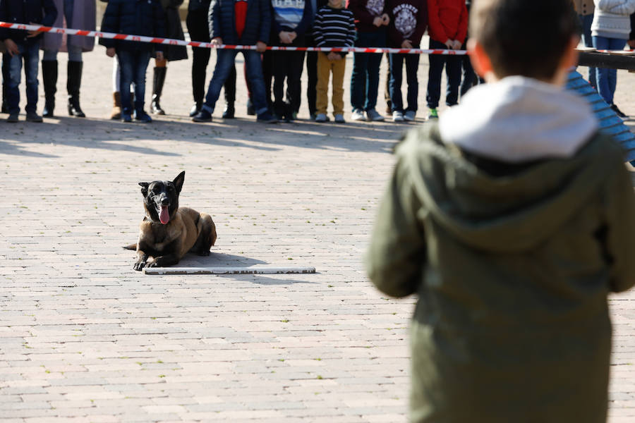 Desde 2002 actúa como grupo de intervención en búsqueda de personas y grandes catástrofes, tanto en la Región como en el extranjero