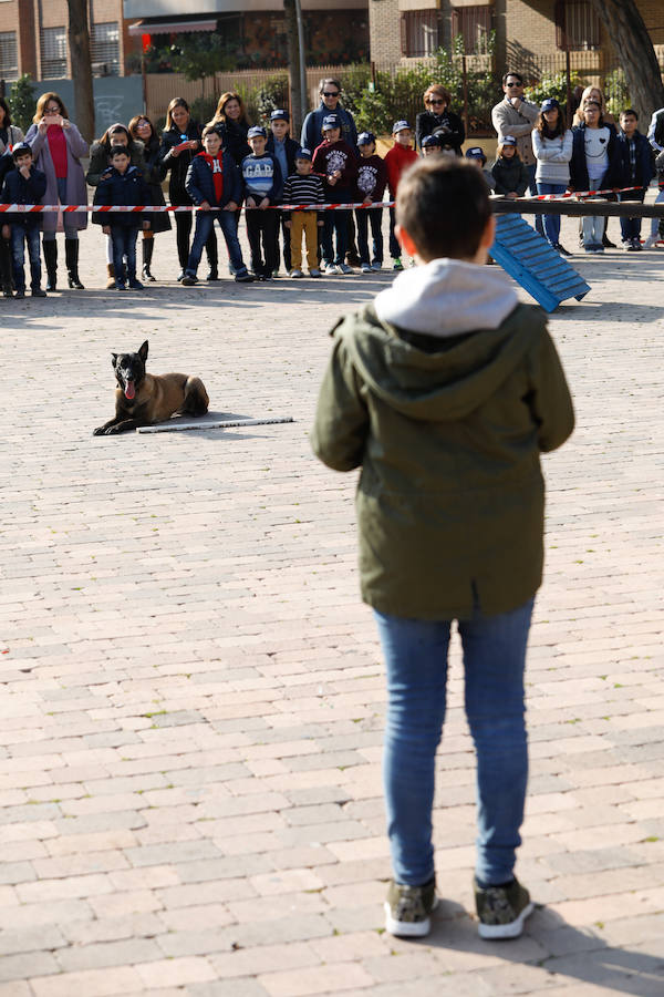 Desde 2002 actúa como grupo de intervención en búsqueda de personas y grandes catástrofes, tanto en la Región como en el extranjero