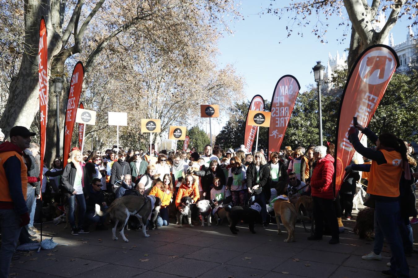 Varias personas con sus perros participan en la octava edición de la Sanperrestre, una iniciativa promovida por la protectora El Refugio que pretende concienciar sobre la importancia de adoptar mascotas en lugar de comprarlas.