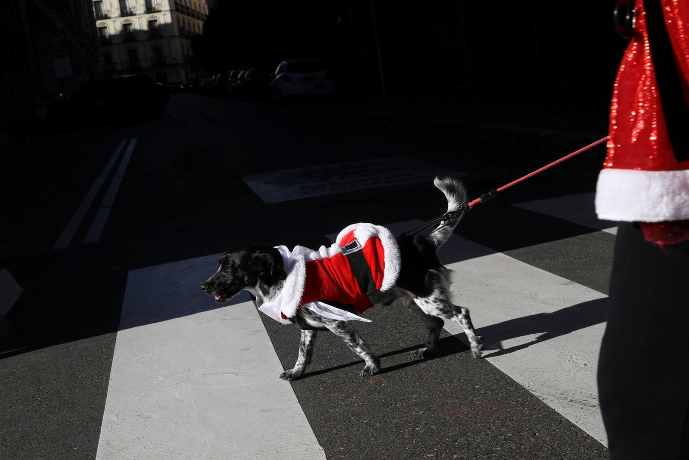 Varias personas con sus perros participan en la octava edición de la Sanperrestre, una iniciativa promovida por la protectora El Refugio que pretende concienciar sobre la importancia de adoptar mascotas en lugar de comprarlas.