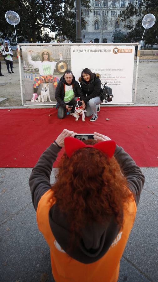 Varias personas con sus perros participan en la octava edición de la Sanperrestre, una iniciativa promovida por la protectora El Refugio que pretende concienciar sobre la importancia de adoptar mascotas en lugar de comprarlas.