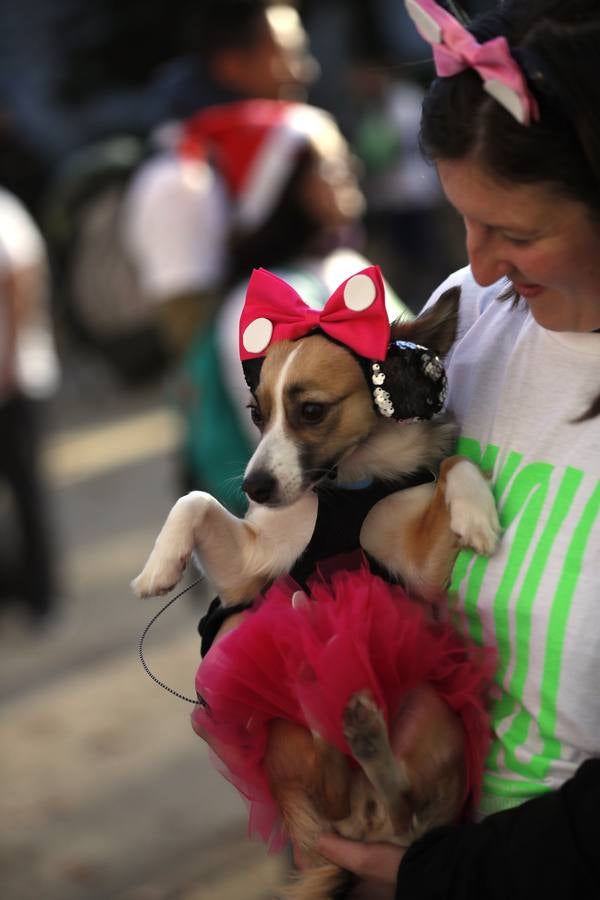 Varias personas con sus perros participan en la octava edición de la Sanperrestre, una iniciativa promovida por la protectora El Refugio que pretende concienciar sobre la importancia de adoptar mascotas en lugar de comprarlas.