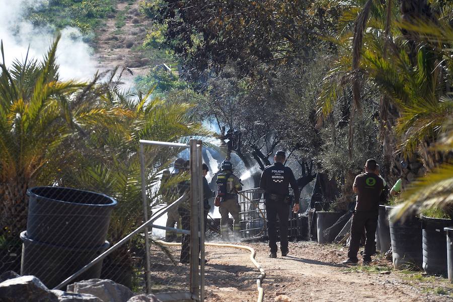El fuego se produjo por la quema incontrolada de rastrojos en las instalaciones por parte de varios empleados.
