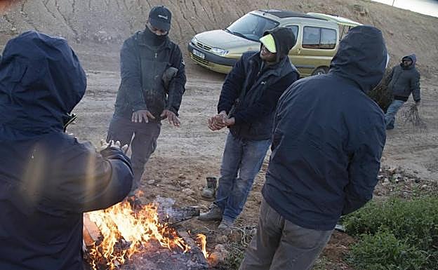 Varios jornaleros se calientan en una hoguera improvisada para empezar a faenar, este viernes, en el Campo de Cartagena.
