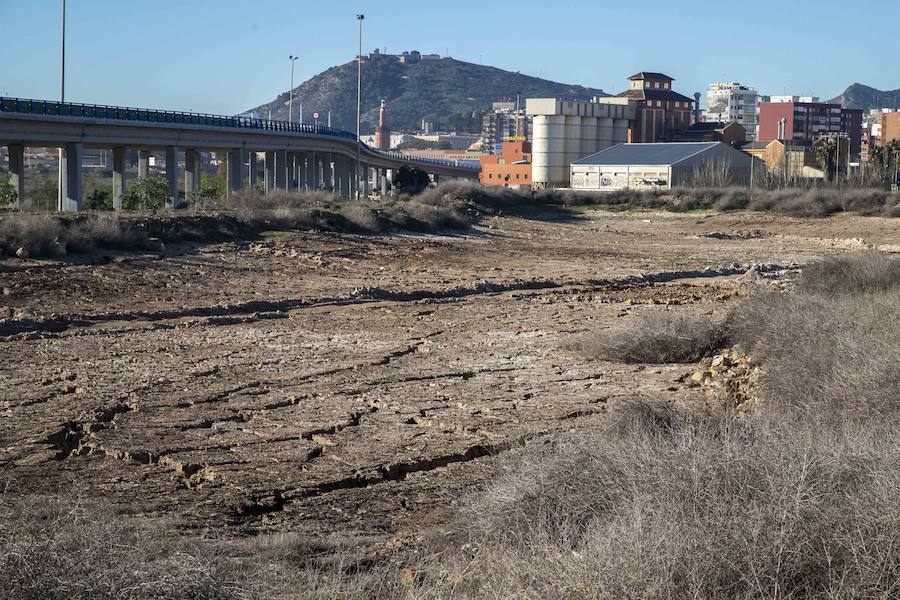 Así lo anunció Cartagena Sí Se Puede tras las labores del Gobierno regional y del Ayuntamiento en estos terrenos contaminados