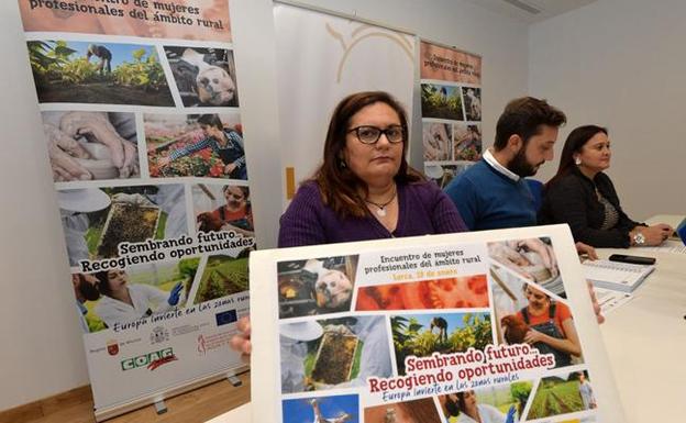 Presentación del encuentro. 