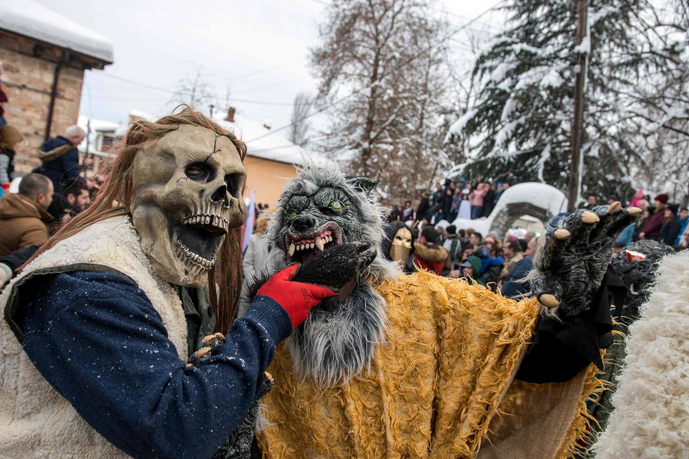 Participantes disfrazados asisten a la tradicional celebración del Carnaval Vevcani, que marca el Día ortodoxo de ´San Vasilij´, en Macedonia. Durante estos días las calles, casas y prados de Vevcani se convierten en una gran escena, a la que salen los hombres disfrazados.