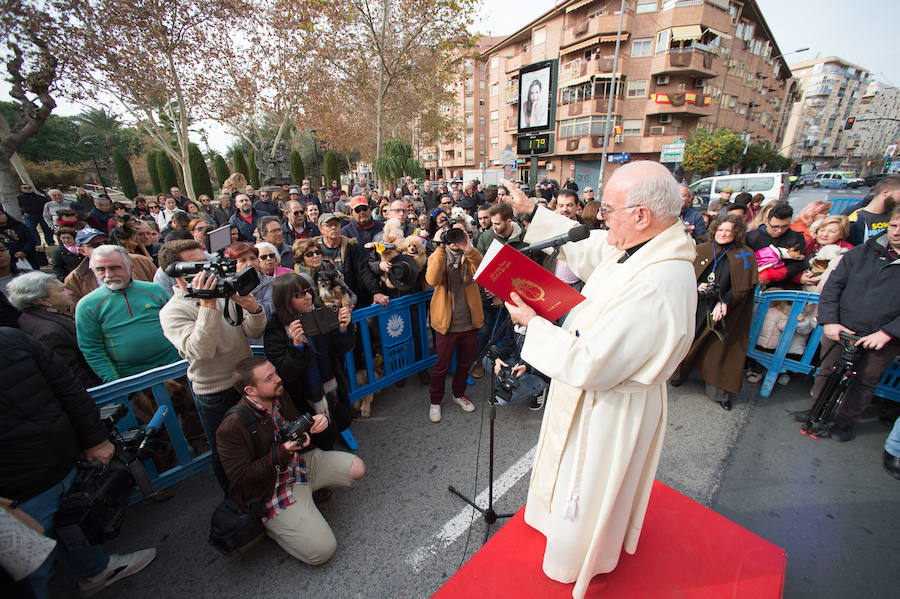 La ermita de San Antón acogió a un centenar de murcianos que llevaron a sus mascotas para que fueran regadas con agua bendita por el padre Jorge Rodríguez