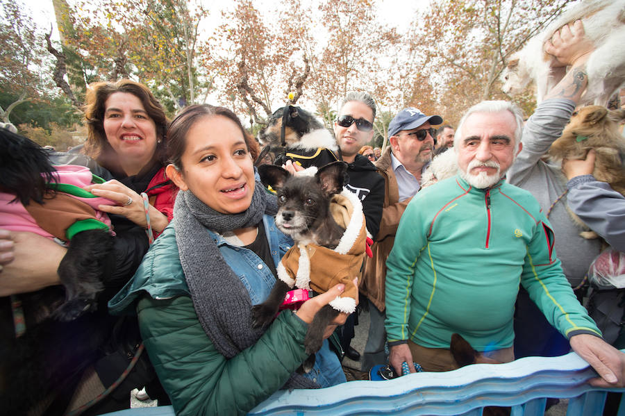 La ermita de San Antón acogió a un centenar de murcianos que llevaron a sus mascotas para que fueran regadas con agua bendita por el padre Jorge Rodríguez