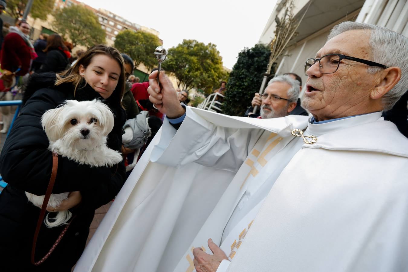 Las mascotas de Molina reciben la bendición de San Antón.