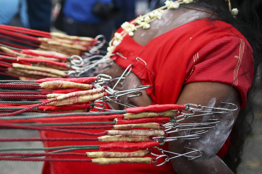 Los devotos del dios hindú Murugan celebran el Taipusam. Es un festival importante de la comunidad Tamil. Los devotos llevan kavadi, o cargas físicas, y participan en una larga procesión, a menudo comenzando antes del amanecer, para honrar al dios hindú Murugan y pedir favores o perdón.