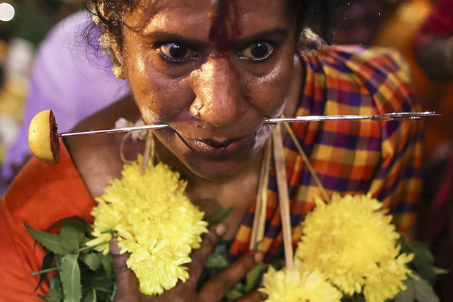 Los devotos del dios hindú Murugan celebran el Taipusam. Es un festival importante de la comunidad Tamil. Los devotos llevan kavadi, o cargas físicas, y participan en una larga procesión, a menudo comenzando antes del amanecer, para honrar al dios hindú Murugan y pedir favores o perdón.
