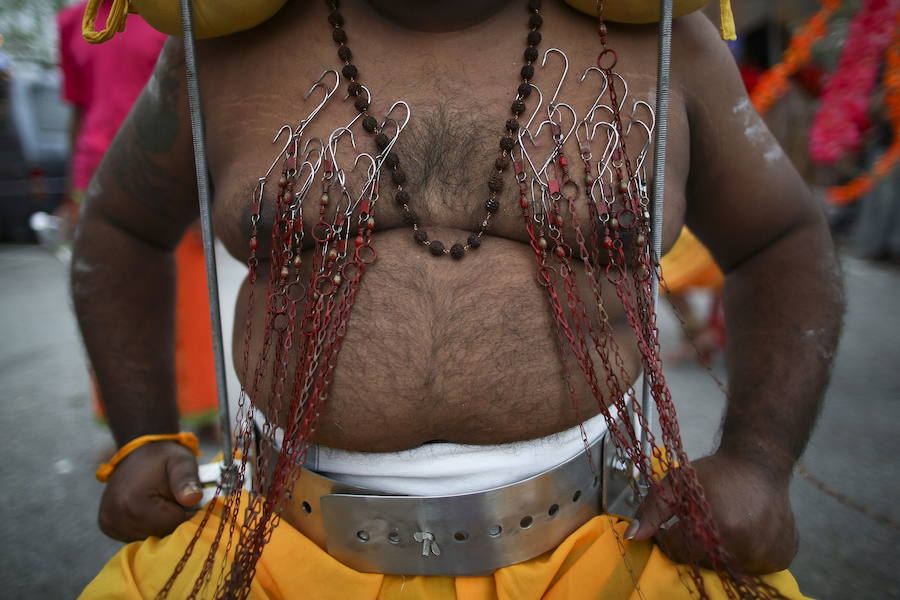 Los devotos del dios hindú Murugan celebran el Taipusam. Es un festival importante de la comunidad Tamil. Los devotos llevan kavadi, o cargas físicas, y participan en una larga procesión, a menudo comenzando antes del amanecer, para honrar al dios hindú Murugan y pedir favores o perdón.