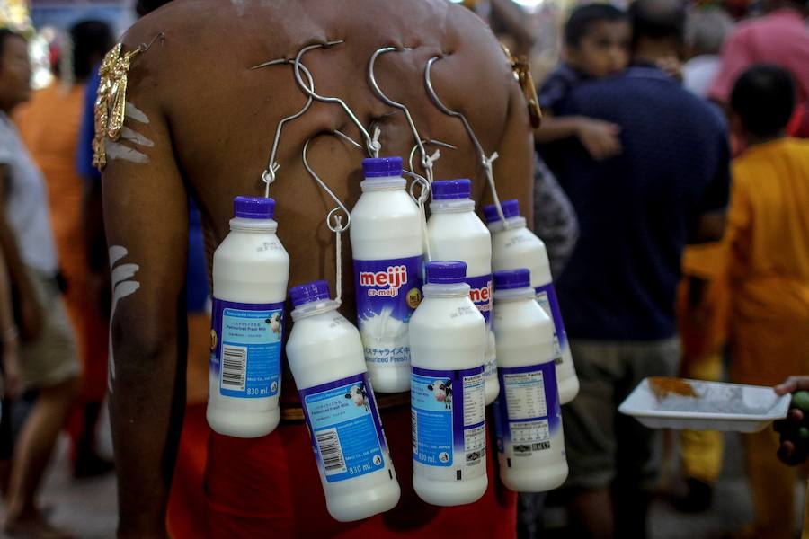 Los devotos del dios hindú Murugan celebran el Taipusam. Es un festival importante de la comunidad Tamil. Los devotos llevan kavadi, o cargas físicas, y participan en una larga procesión, a menudo comenzando antes del amanecer, para honrar al dios hindú Murugan y pedir favores o perdón.
